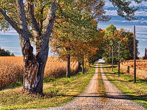 Autumn Farm Lane_16456.jpg - Photographed near Perth, Ontario, Canada.